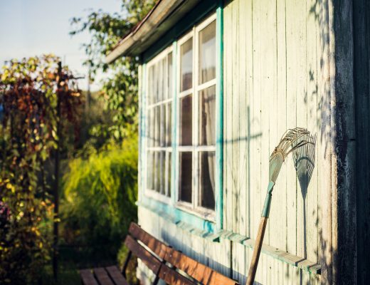 Cabane dans le jardin